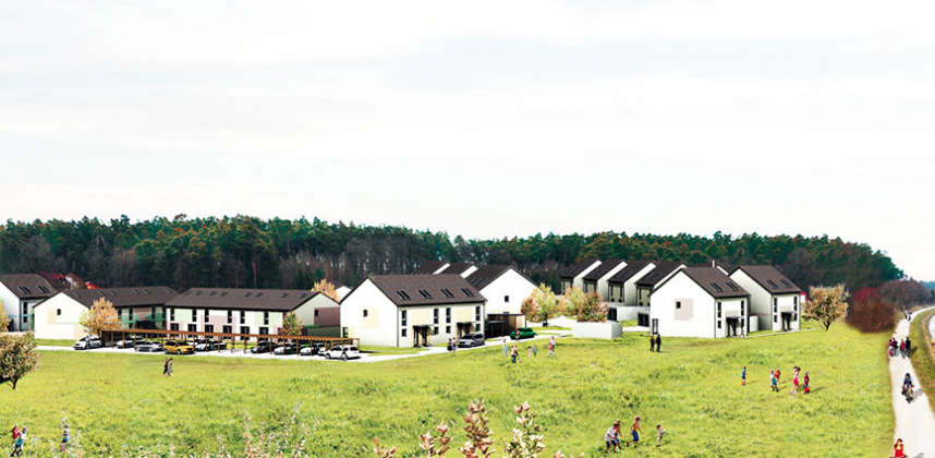 Agnes-Gerlach-Ring